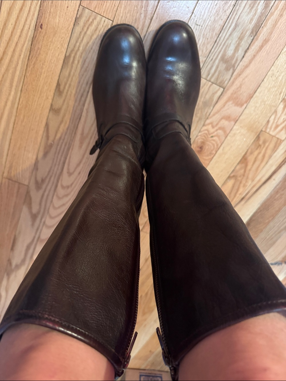 Frye tall boot made in Mexico, 9.5
